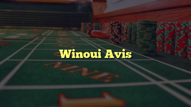 Winoui Avis